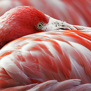 The Six Stages of Life