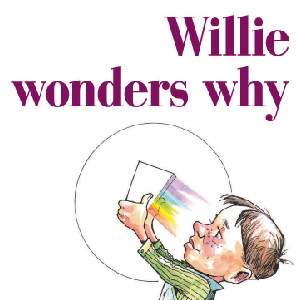 Willie Wonders Why
