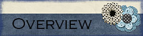 Overview